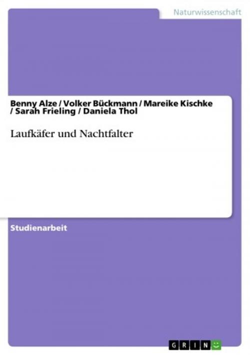 Cover of the book Laufkäfer und Nachtfalter by Benny Alze, Sarah Frieling, Daniela Thol, Mareike Kischke, Volker Bückmann, GRIN Verlag