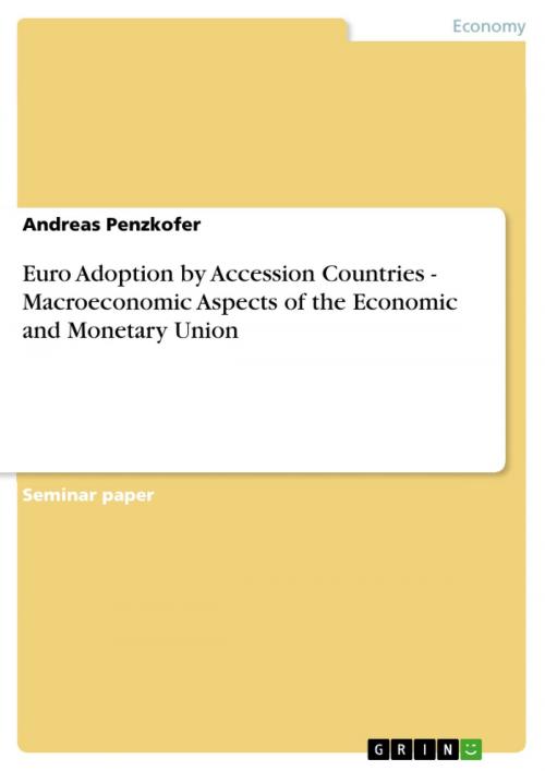 Cover of the book Euro Adoption by Accession Countries - Macroeconomic Aspects of the Economic and Monetary Union by Andreas Penzkofer, GRIN Publishing