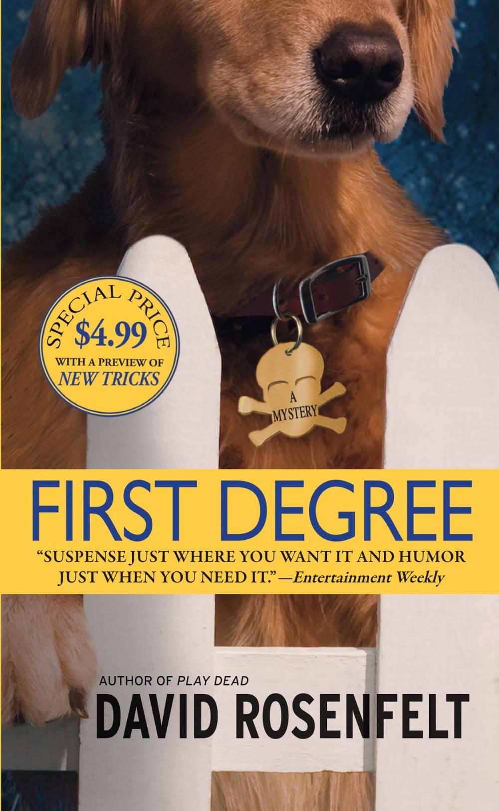 Big bigCover of First Degree