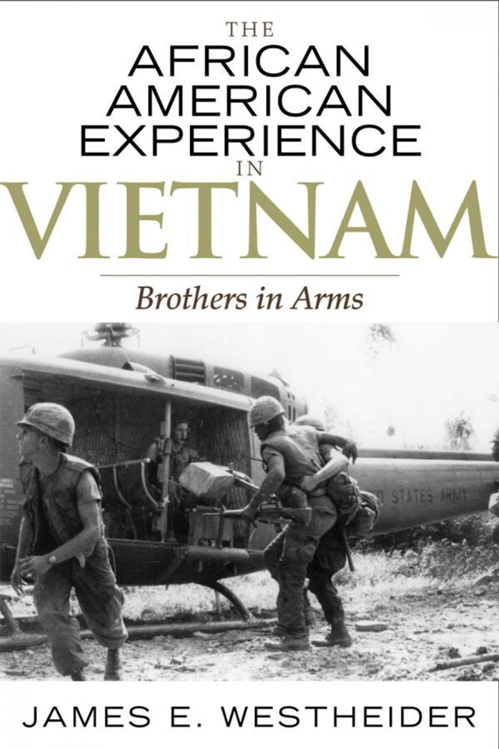 Big bigCover of The African American Experience in Vietnam