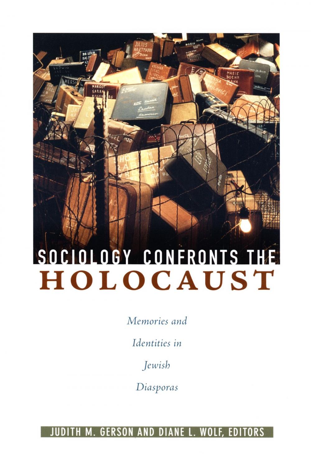 Big bigCover of Sociology Confronts the Holocaust