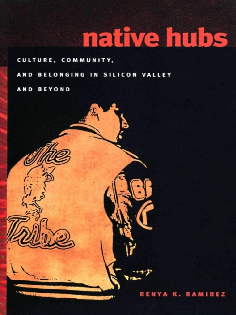 Big bigCover of Native Hubs