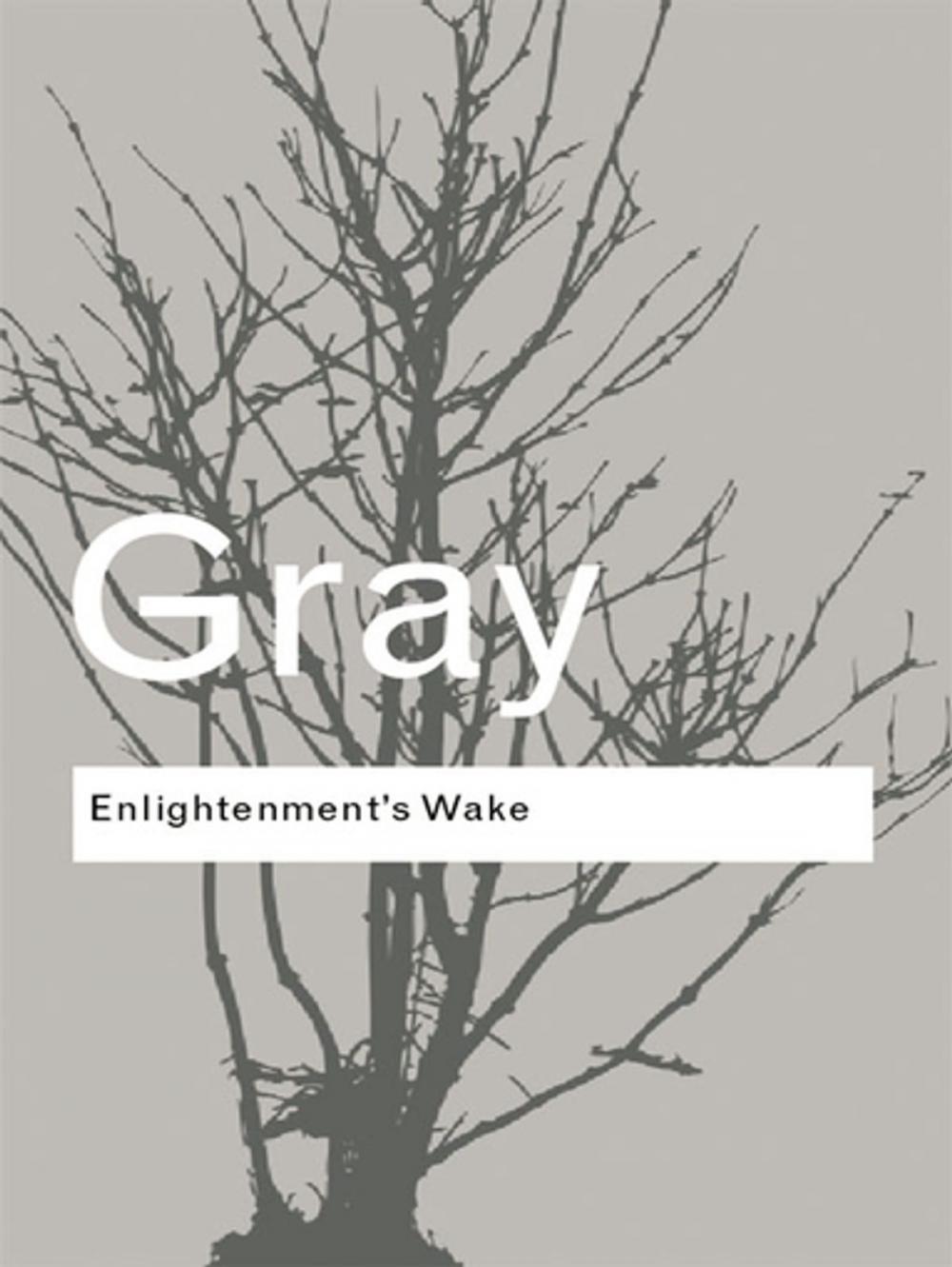 Big bigCover of Enlightenment's Wake