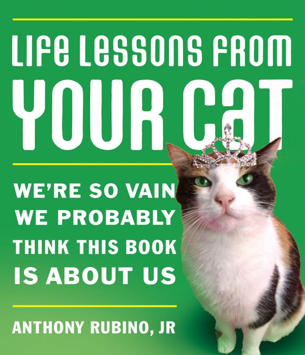 Big bigCover of Life Lessons From Your Cat