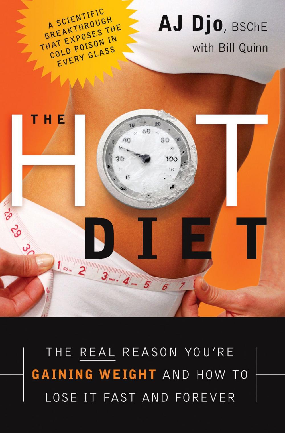 Big bigCover of The Hot Diet