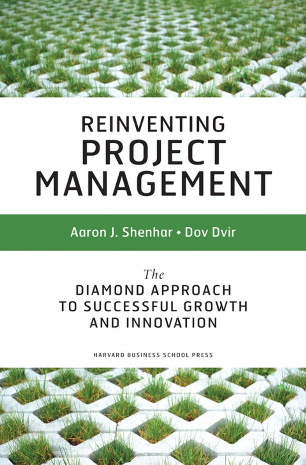 Big bigCover of Reinventing Project Management