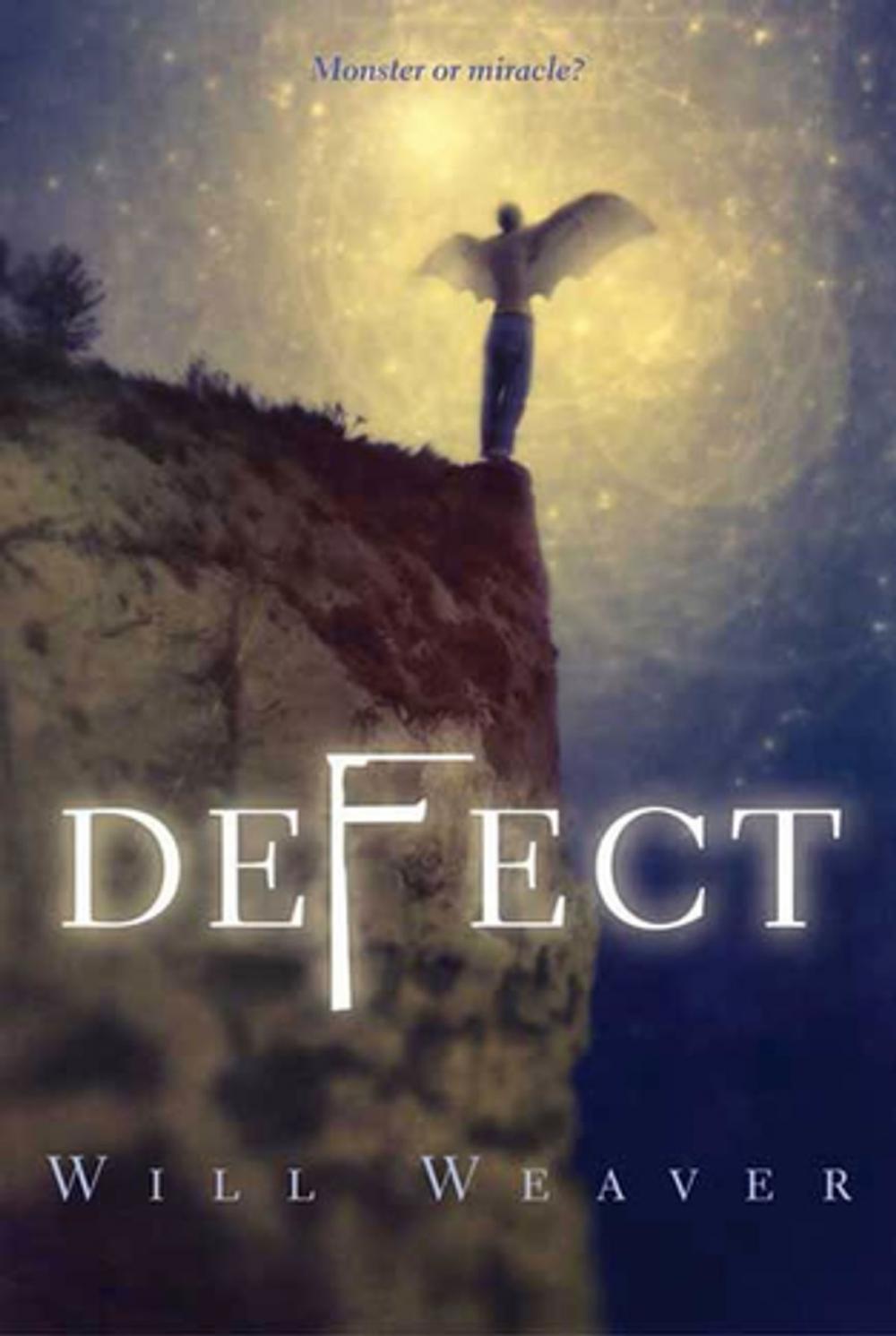 Big bigCover of Defect