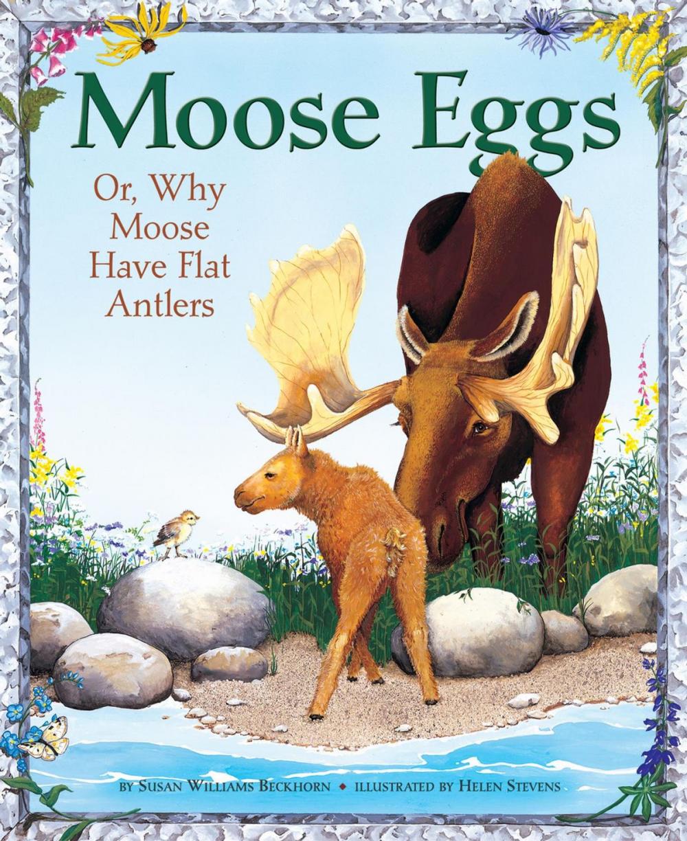 Big bigCover of Moose Eggs