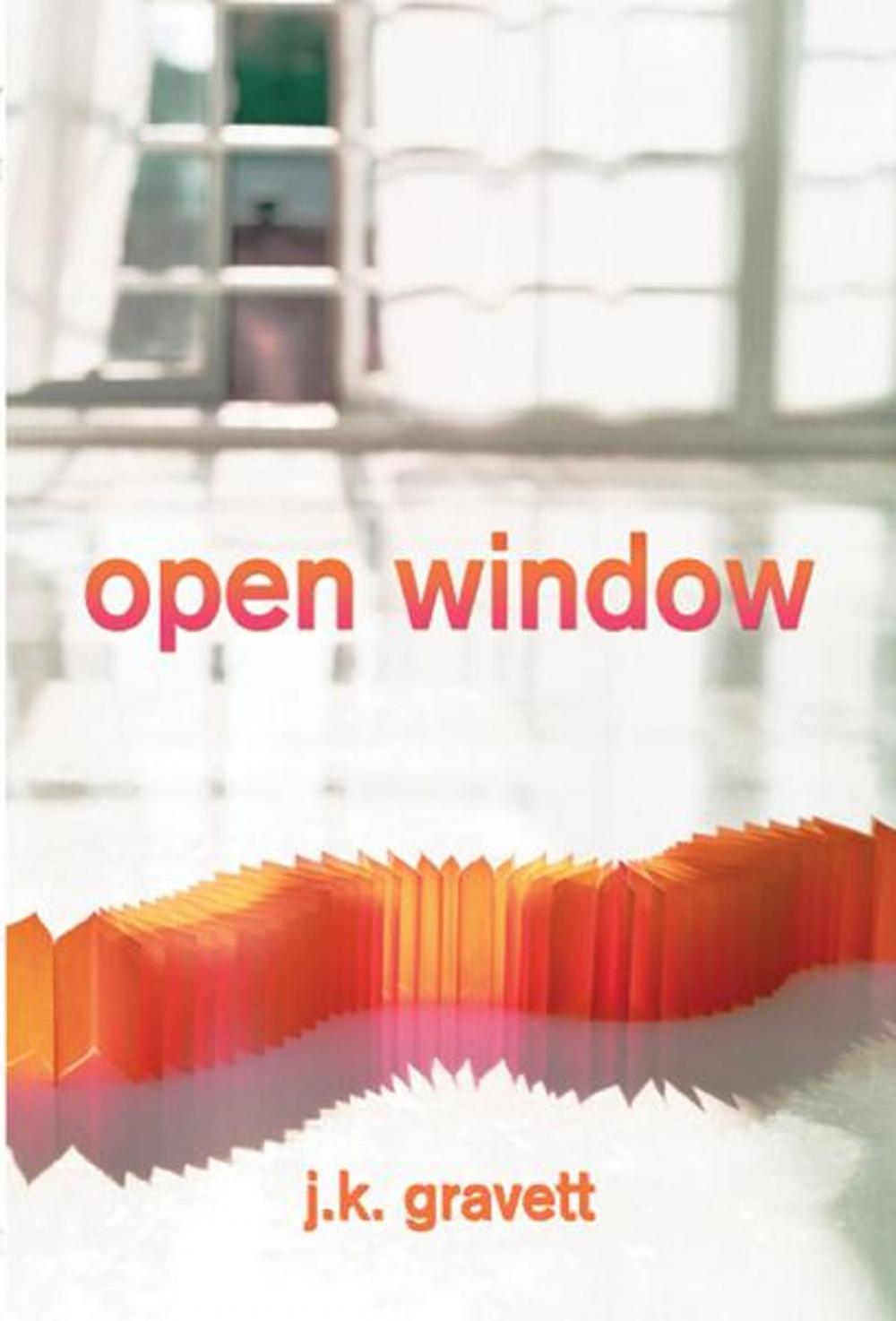 Big bigCover of Open Window