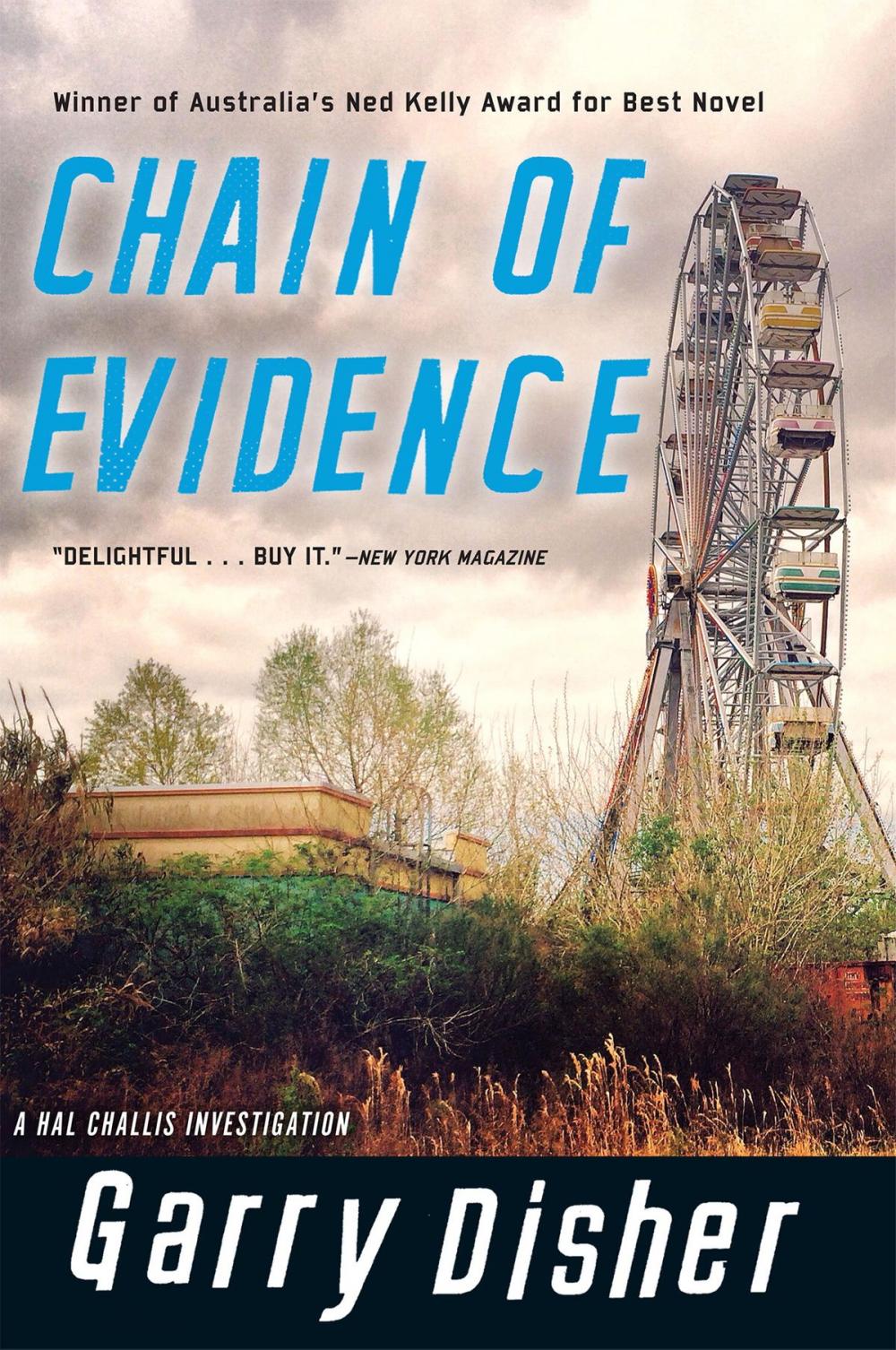 Big bigCover of Chain of Evidence