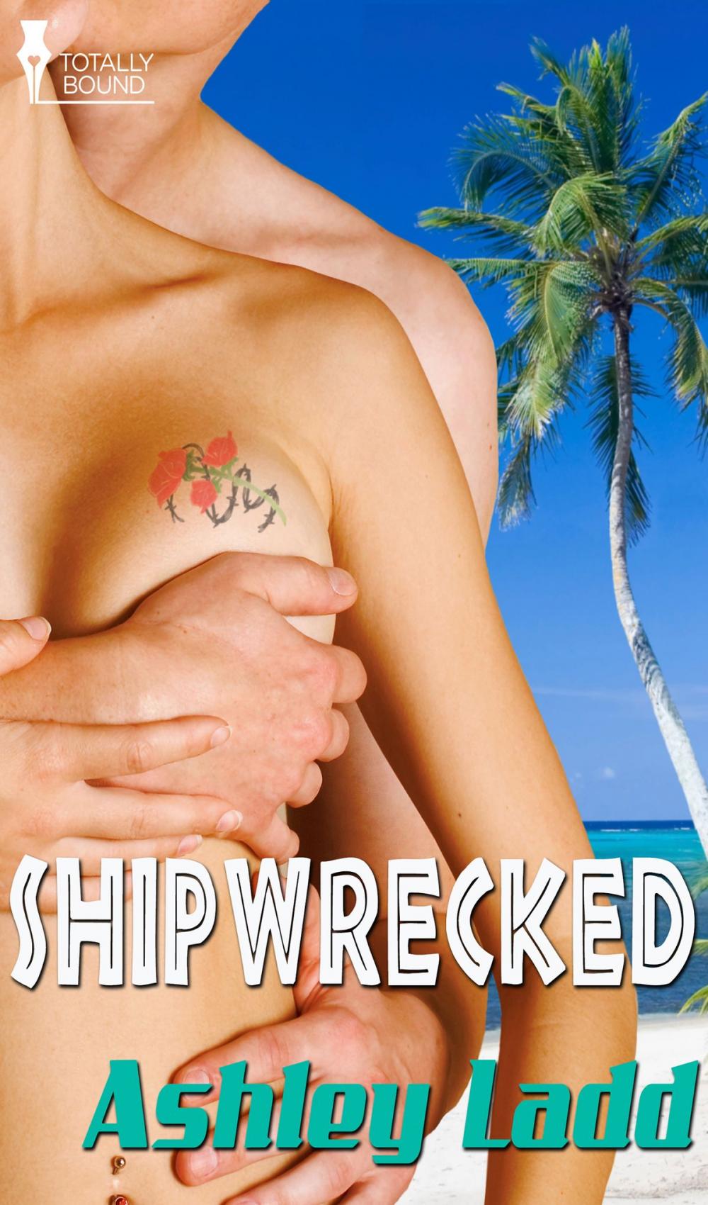 Big bigCover of Shipwrecked