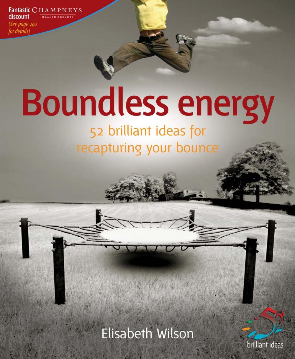 Big bigCover of Boundless Energy