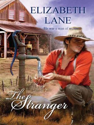 Cover of the book The Stranger by Suzannah Davis