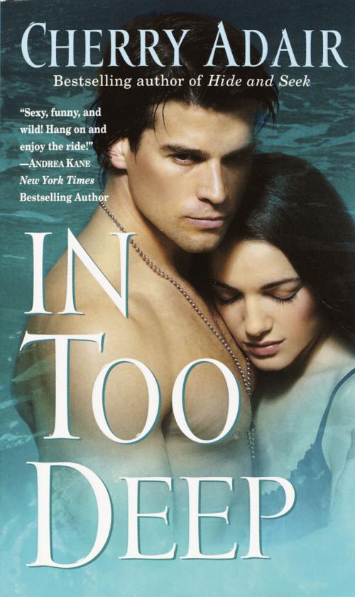 Cover of the book In Too Deep by Cherry Adair, Random House Publishing Group