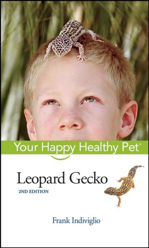 Cover of the book Leopard Gecko by Frank Indiviglio, Turner Publishing Company