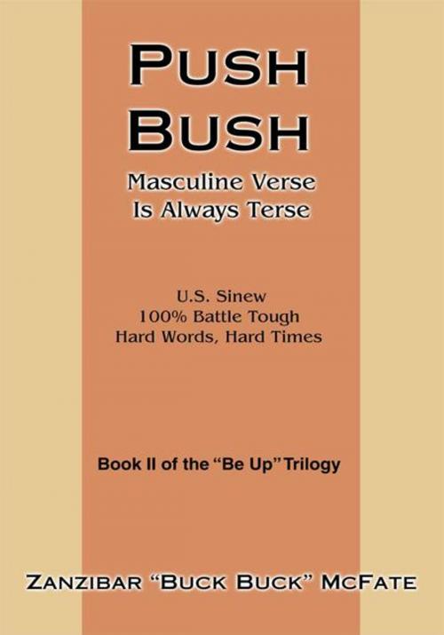 Cover of the book Push Bush by Zanzibar McFate, iUniverse