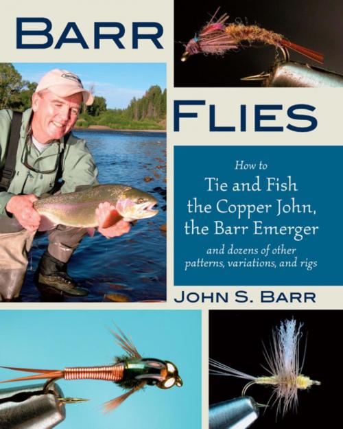 Cover of the book Barr Flies by John S. Barr, Stackpole Books