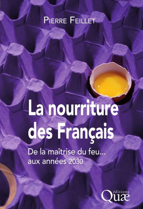 Cover of the book La nourriture des Français by Pierre Feillet, Quae