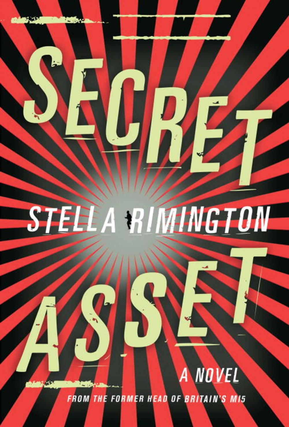 Big bigCover of Secret Asset