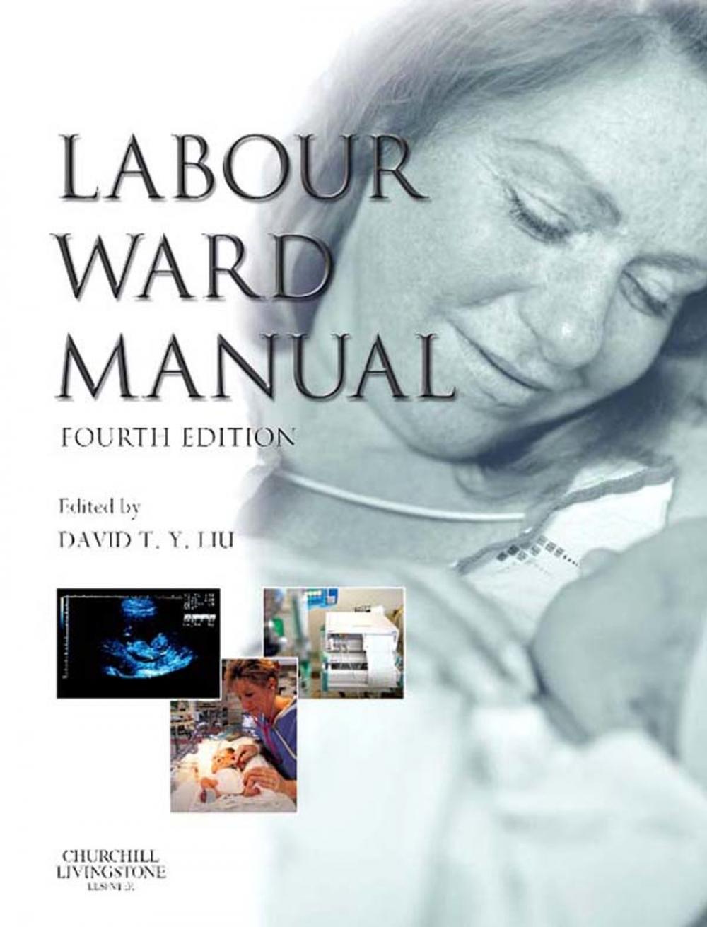 Big bigCover of Labour Ward Manual E-Book