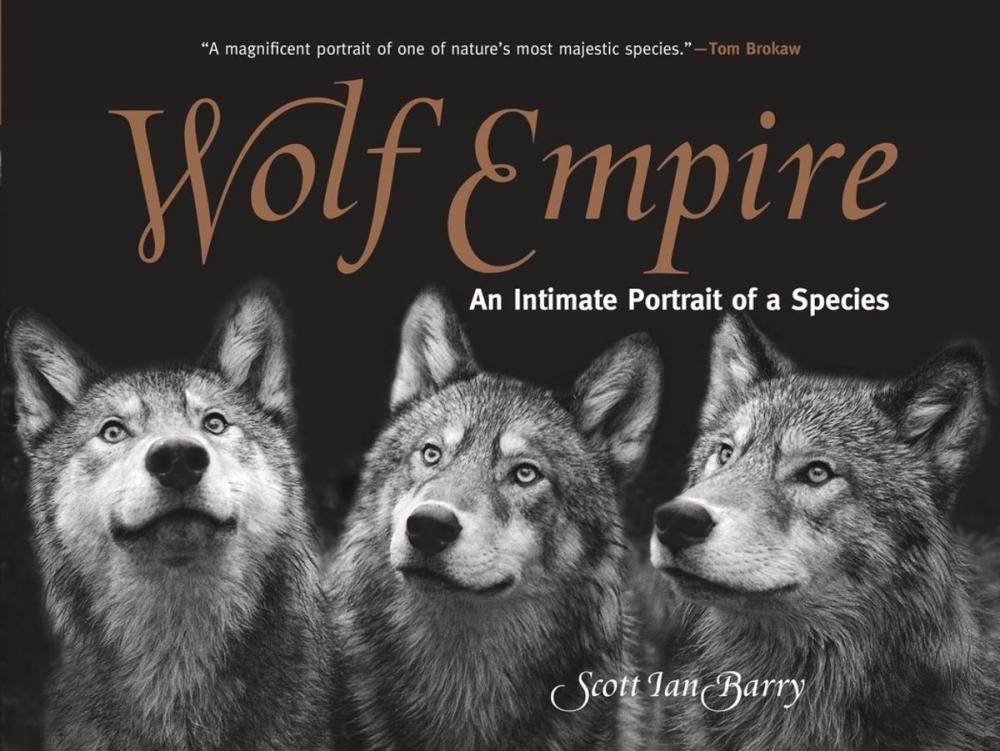 Big bigCover of Wolf Empire