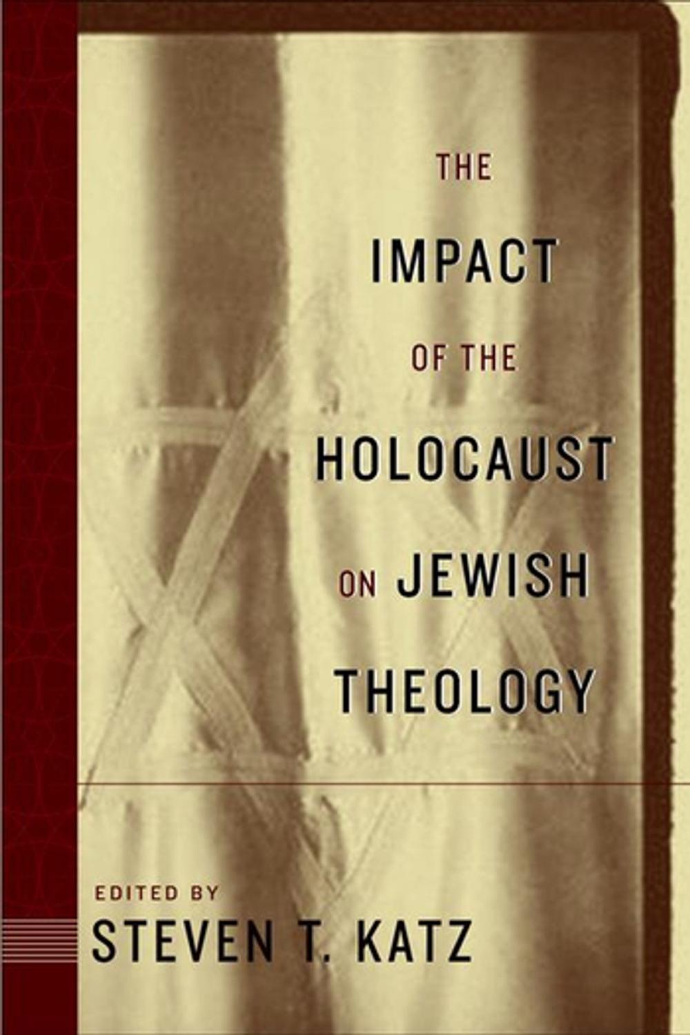 Big bigCover of The Impact of the Holocaust on Jewish Theology