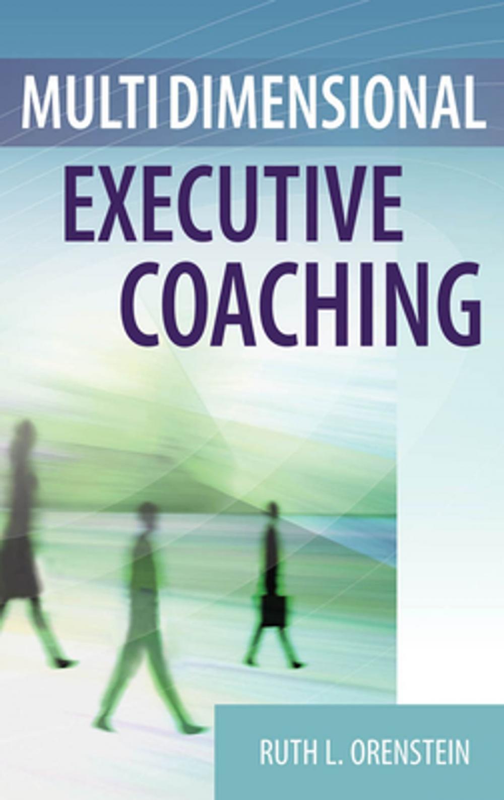 Big bigCover of Multidimensional Executive Coaching