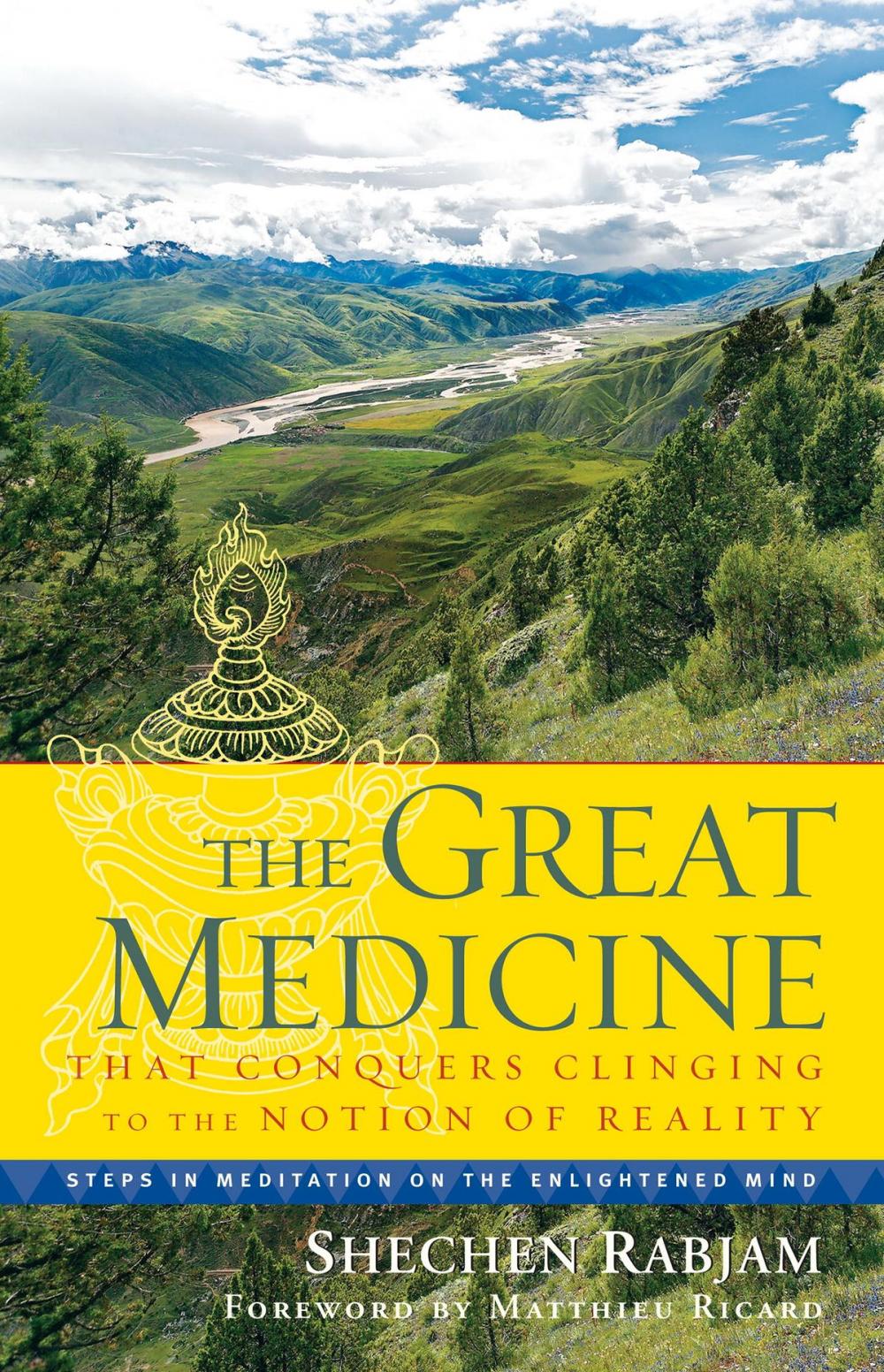 Big bigCover of The Great Medicine That Conquers Clinging to the Notion of Reality