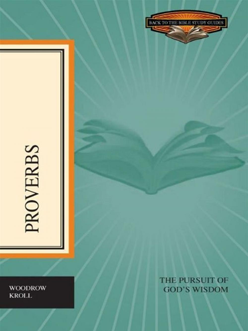 Big bigCover of Proverbs: The Pursuit of God's Wisdom