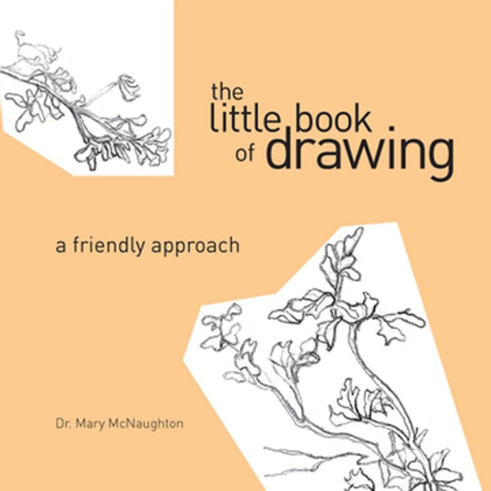 Big bigCover of The Little Book of Drawing