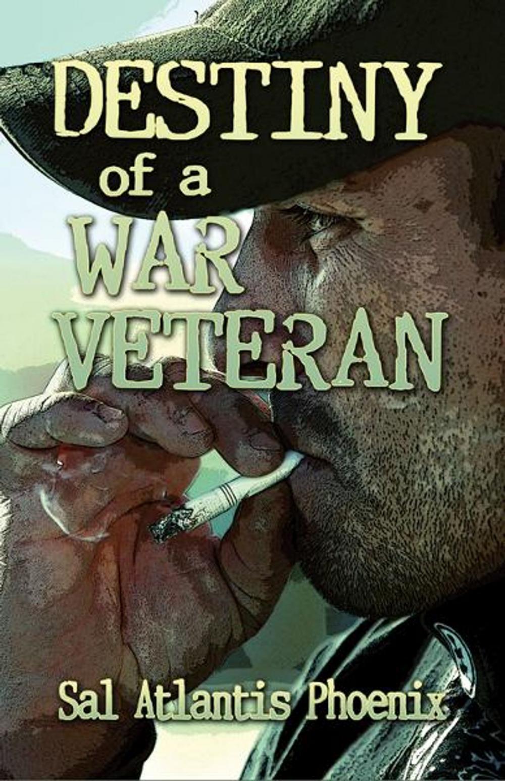 Big bigCover of Destiny of a War Veteran