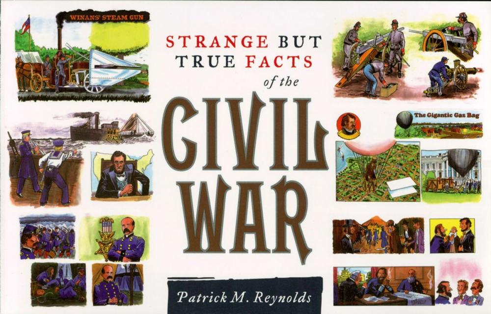 Big bigCover of Strange but True Facts About the Civil War