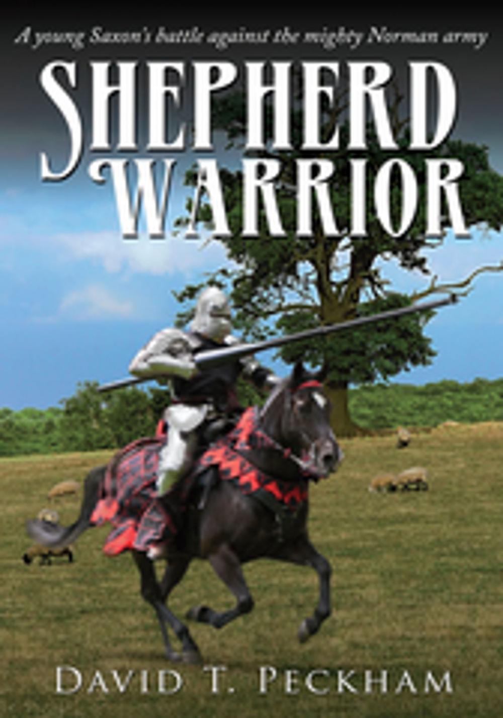 Big bigCover of Shepherd Warrior