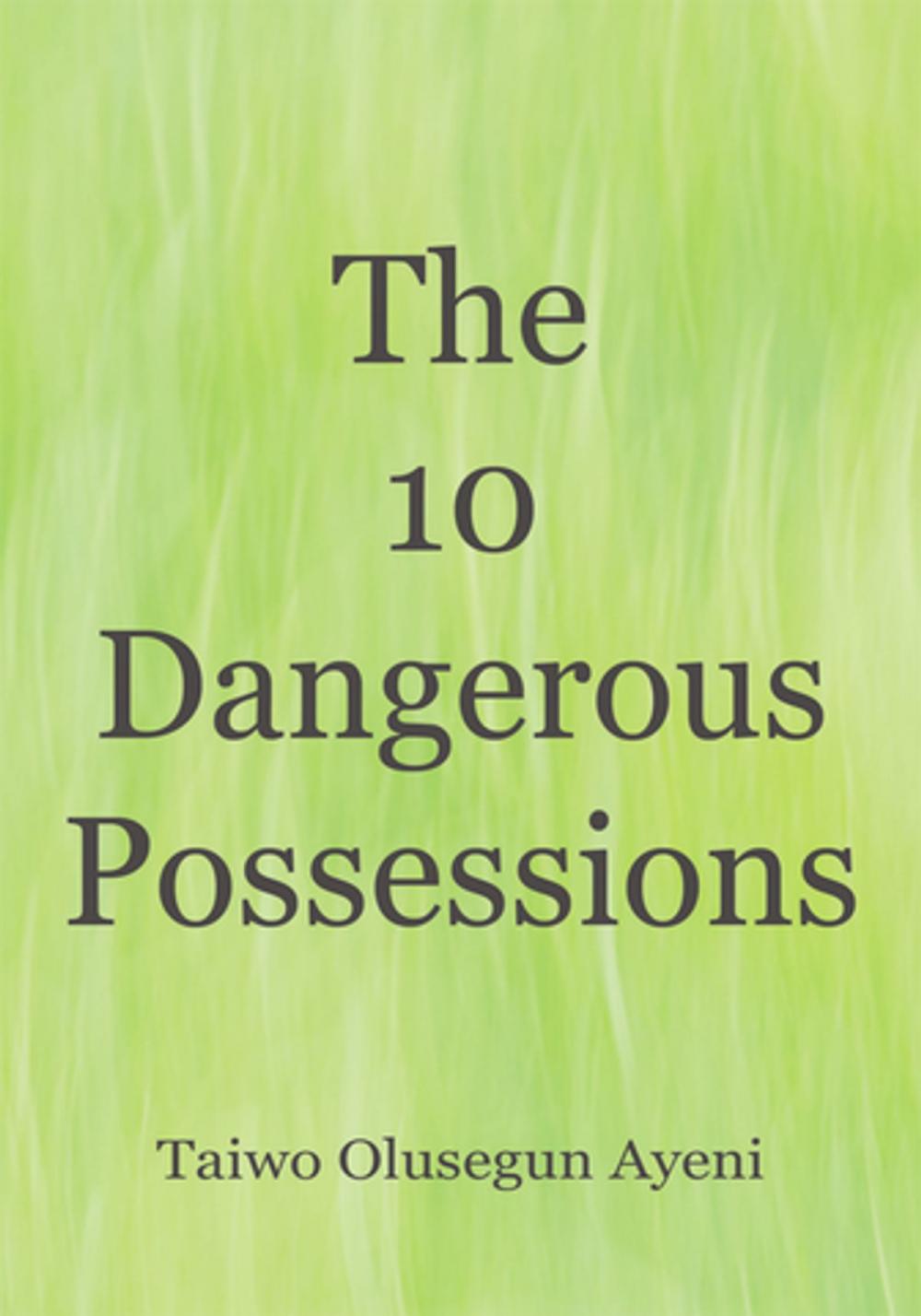 Big bigCover of The 10 Dangerous Possessions