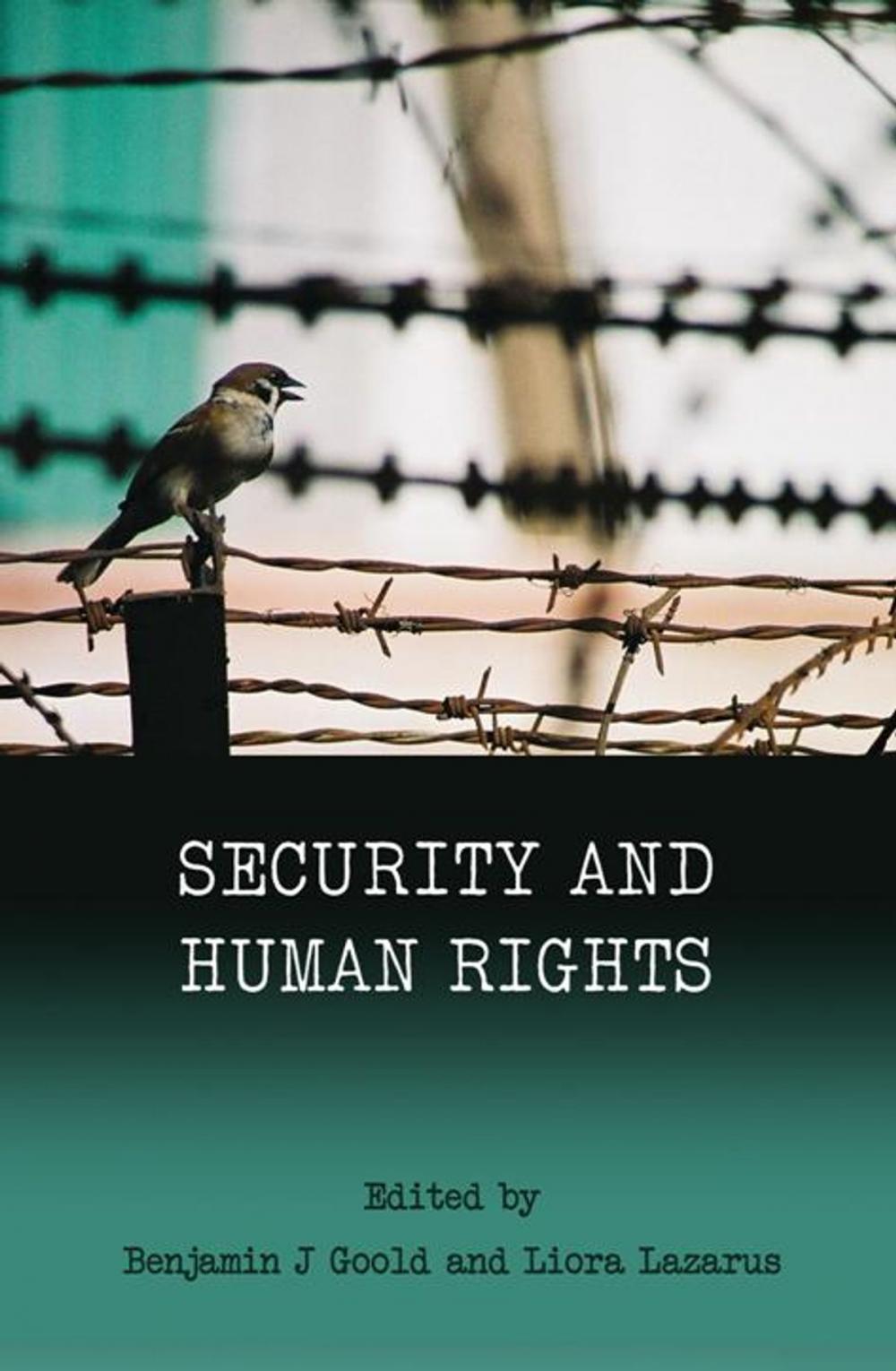 Big bigCover of Security and Human Rights