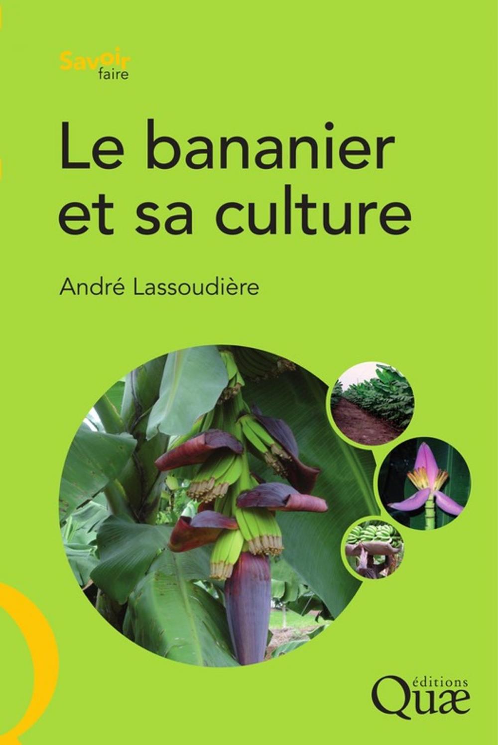 Big bigCover of Le bananier et sa culture