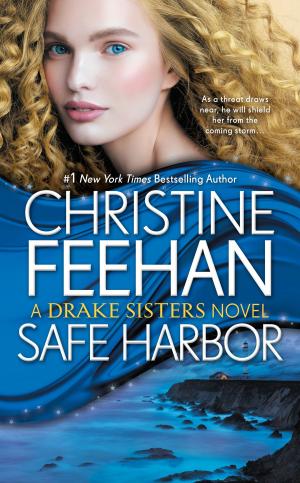 Cover of the book Safe Harbor by Jonathan Phillips
