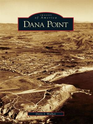 Cover of the book Dana Point by Jody B. Shapiro, Joel A. Bloom