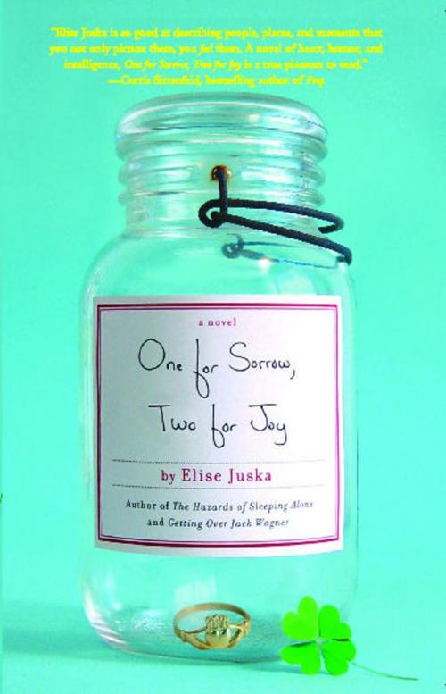 Cover of the book One for Sorrow, Two for Joy by Elise Juska, Pocket Books