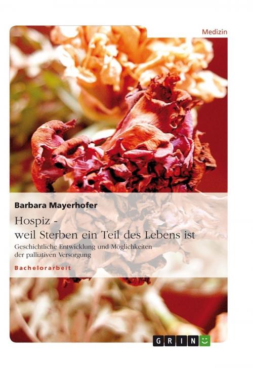 Cover of the book Hospiz - weil Sterben ein Teil des Lebens ist by Barbara Mayerhofer, GRIN Verlag