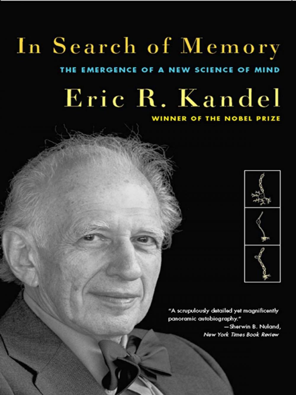 Big bigCover of In Search of Memory: The Emergence of a New Science of Mind