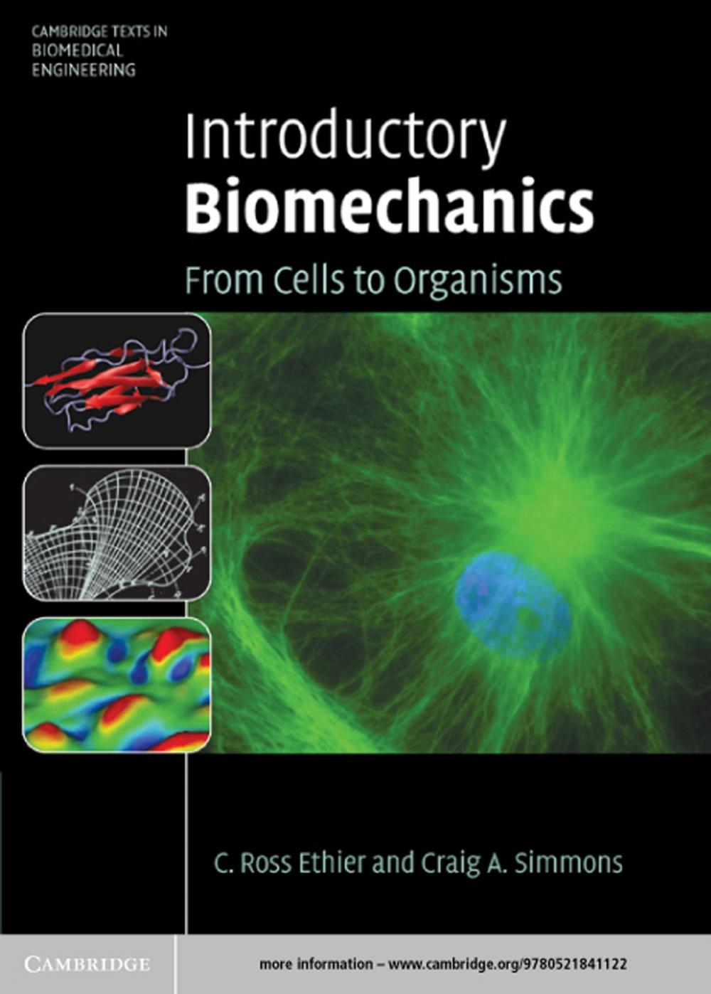 Big bigCover of Introductory Biomechanics