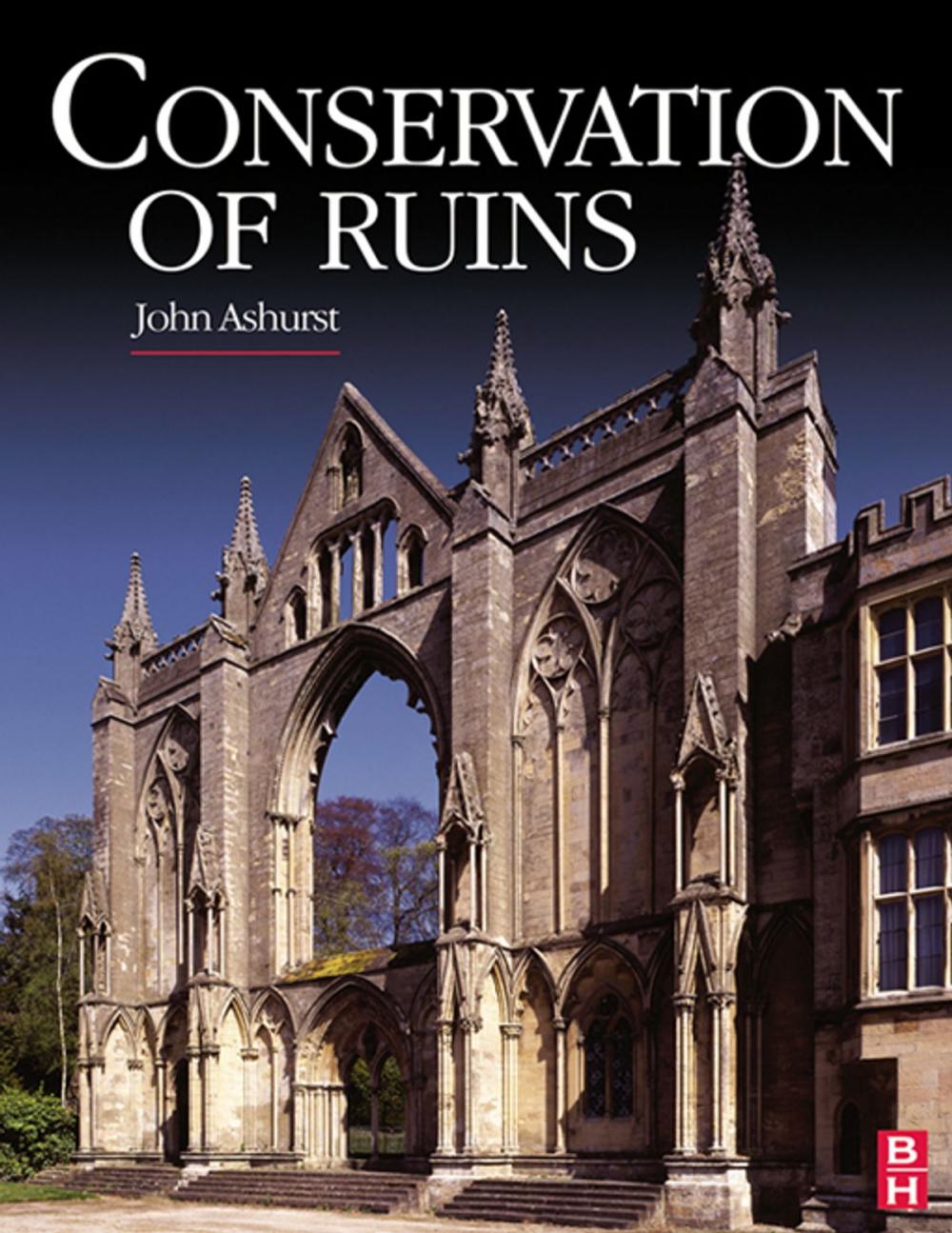 Big bigCover of Conservation of Ruins