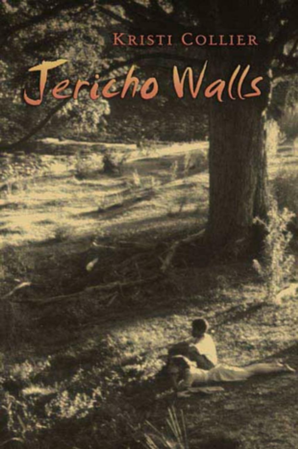 Big bigCover of Jericho Walls