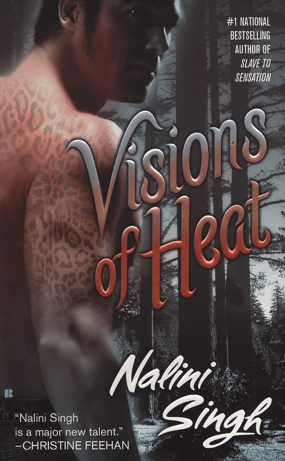 Big bigCover of Visions of Heat