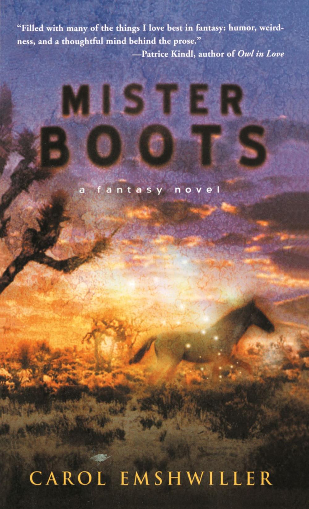 Big bigCover of Mister Boots