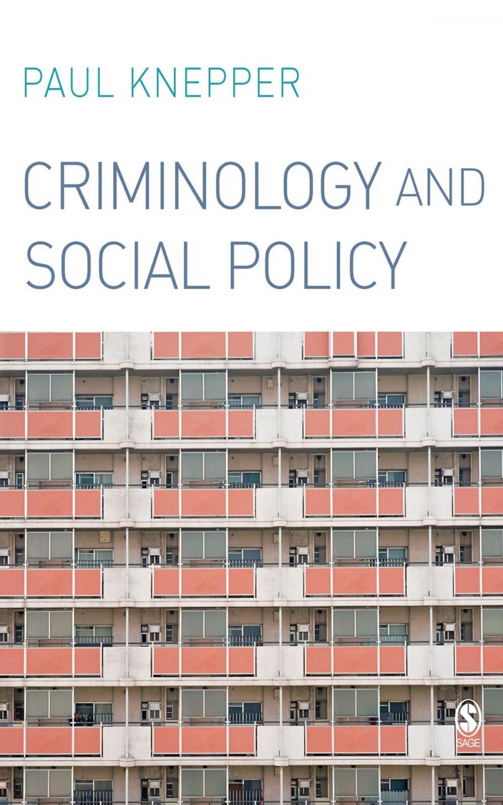 Big bigCover of Criminology and Social Policy