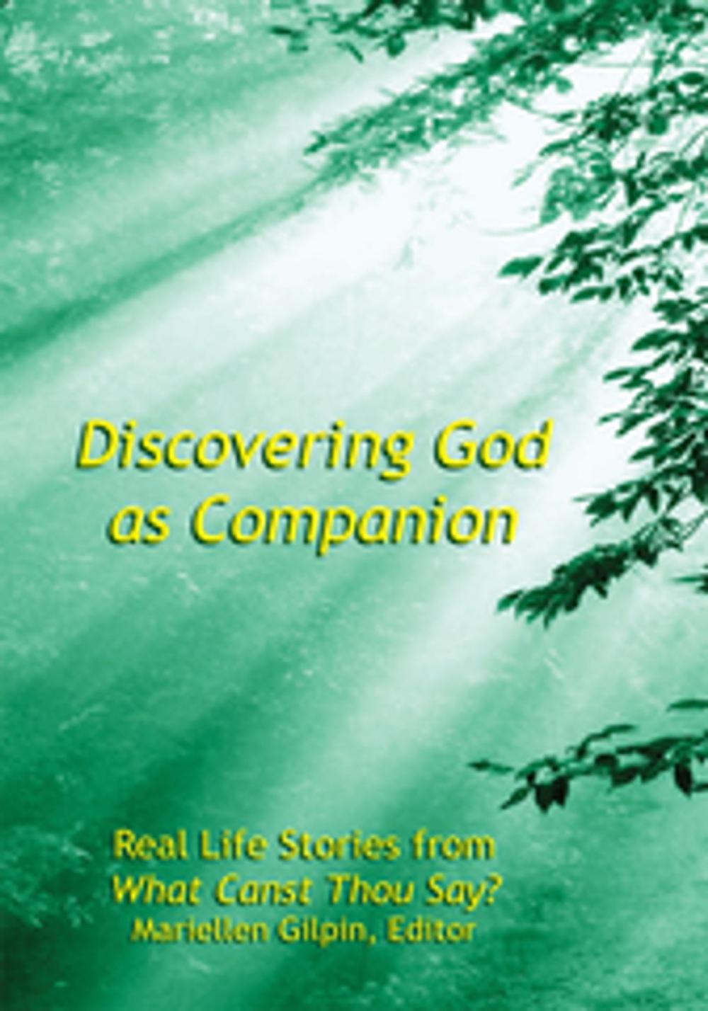 Big bigCover of Discovering God as Companion