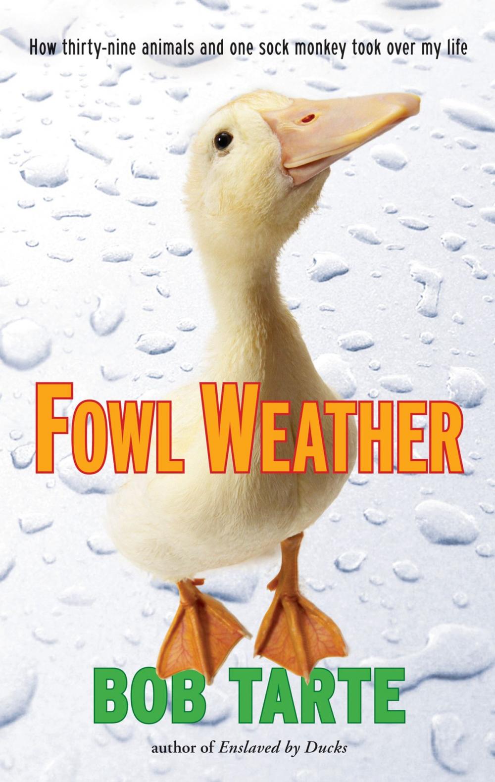 Big bigCover of Fowl Weather