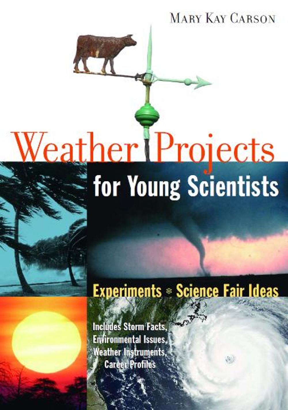 Big bigCover of Weather Projects for Young Scientists